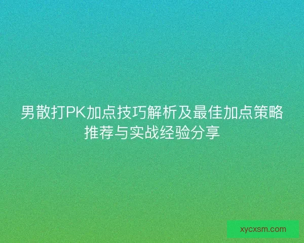 男散打PK加点技巧解析及最佳加点策略推荐与实战经验分享