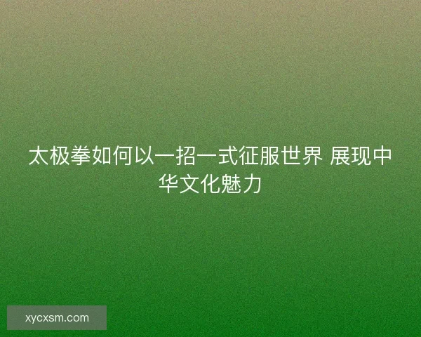 太极拳如何以一招一式征服世界 展现中华文化魅力