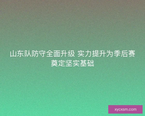 山东队防守全面升级 实力提升为季后赛奠定坚实基础